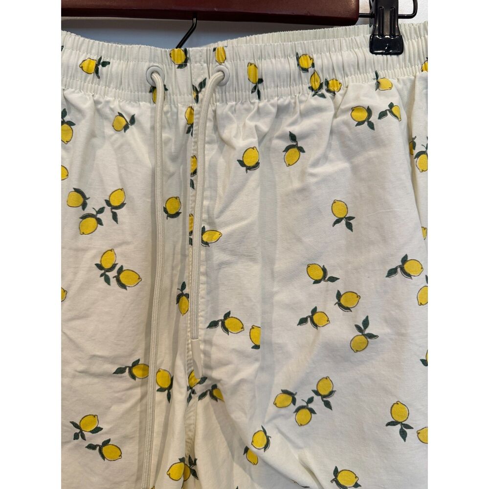Zara Man Lemons Print Swim Trunks / Briefs NWOT Men’s XL - Picture 4 of 6